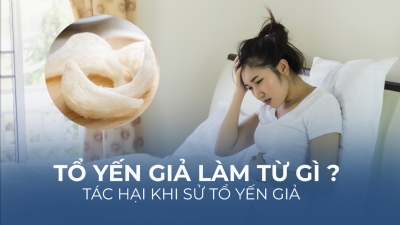 Tổ yến giả được làm từ gì?